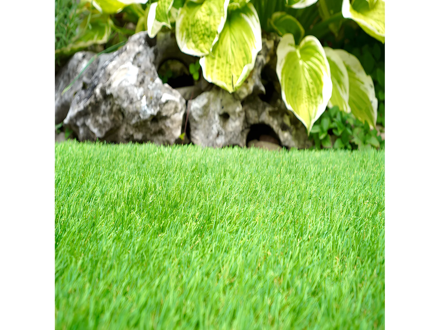 Gazon Synthétique| 1X6M (Largeur X Longueur)| Épaisseur 20MM