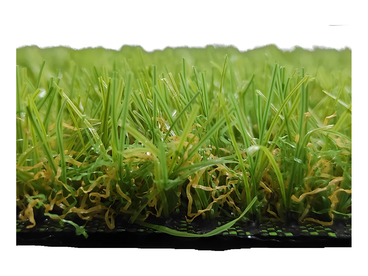 Cesped Artificial| 2X4M (Ancho X Largo)| Grosor 25MM