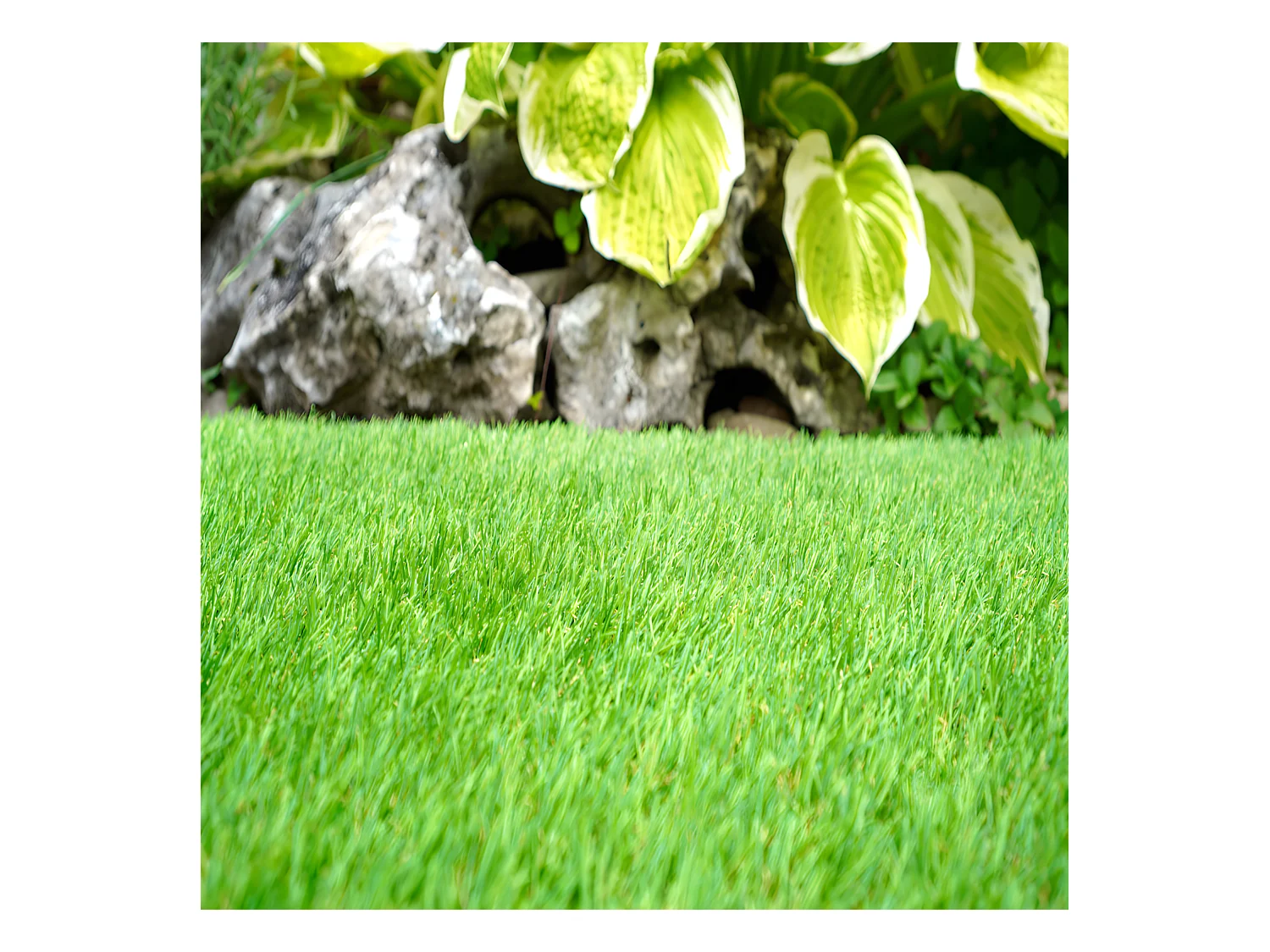 Gazon Synthétique| 2X10M (Largeur X Longueur)| Épaisseur 20MM