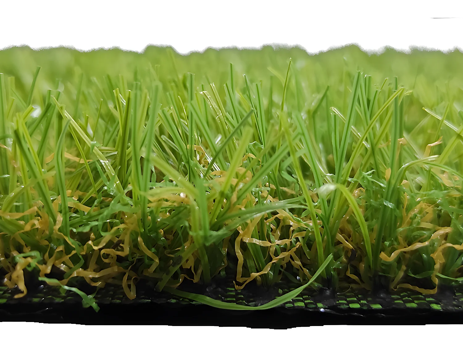 Cesped Artificial| 1X6M (Ancho X Largo)| Grosor 25MM