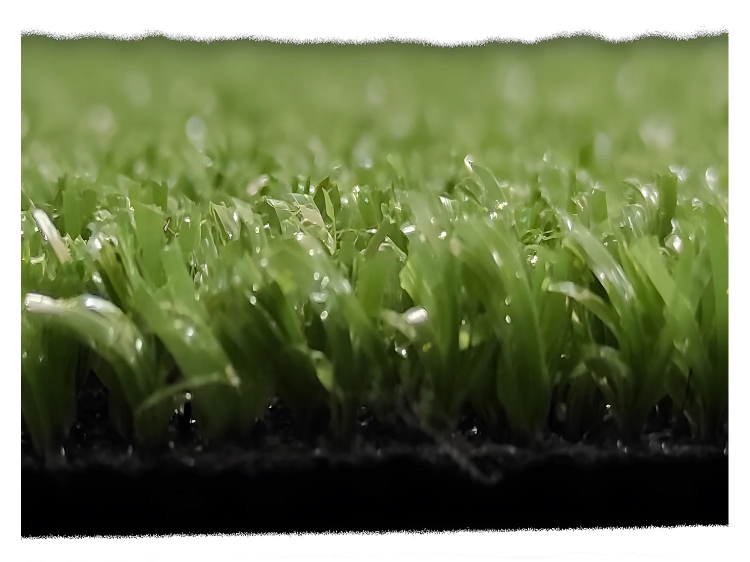 Cesped Artificial| 2X4M (Ancho X Largo)| Grosor 7MM