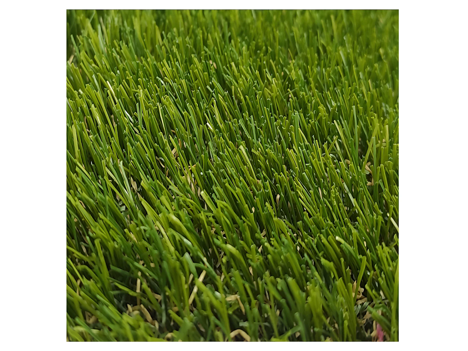 Erba Sintetica| 2X3M (Larghezza X Lunghezza)| Spessore 25MM