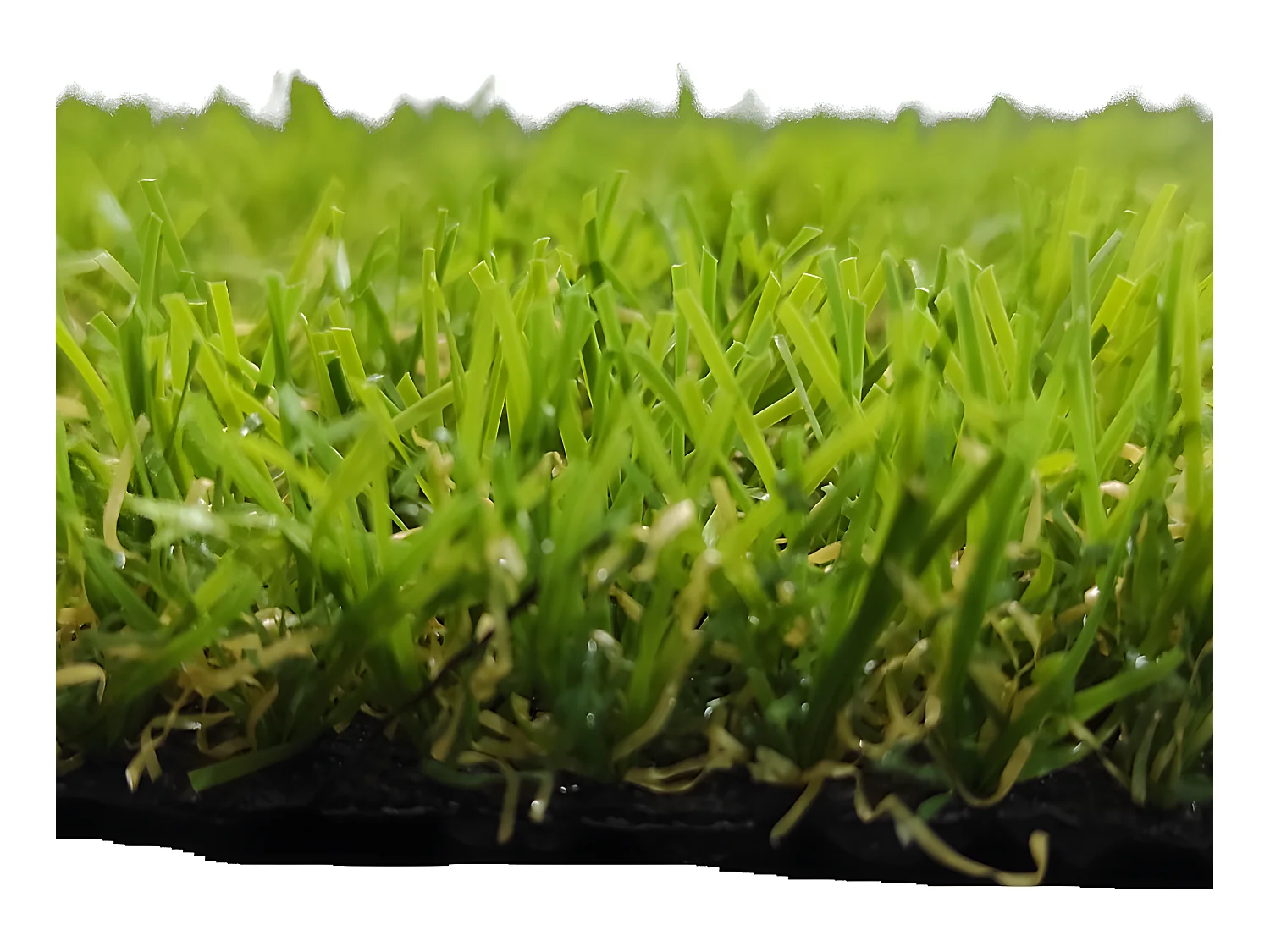 Gazon Synthétique| 1X2M (Largeur X Longueur)| Épaisseur 20MM