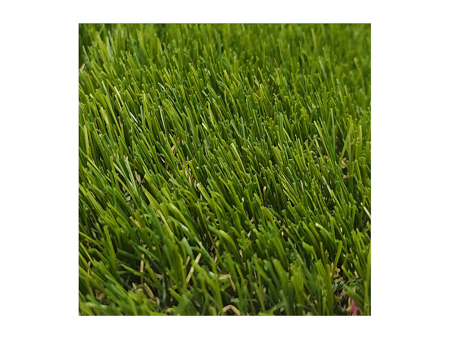 Cesped Artificial| 1X5M (Ancho X Largo)| Grosor 25MM