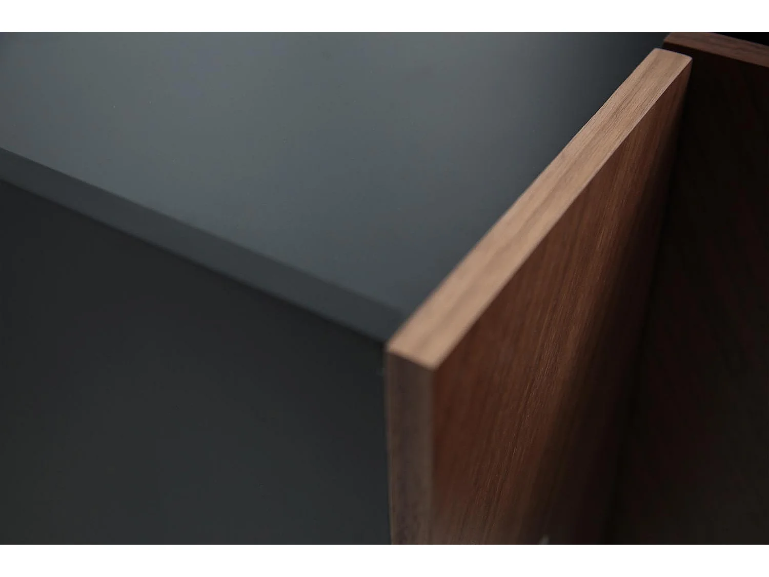 Meuble TV vintage avec placard SEQUOIA