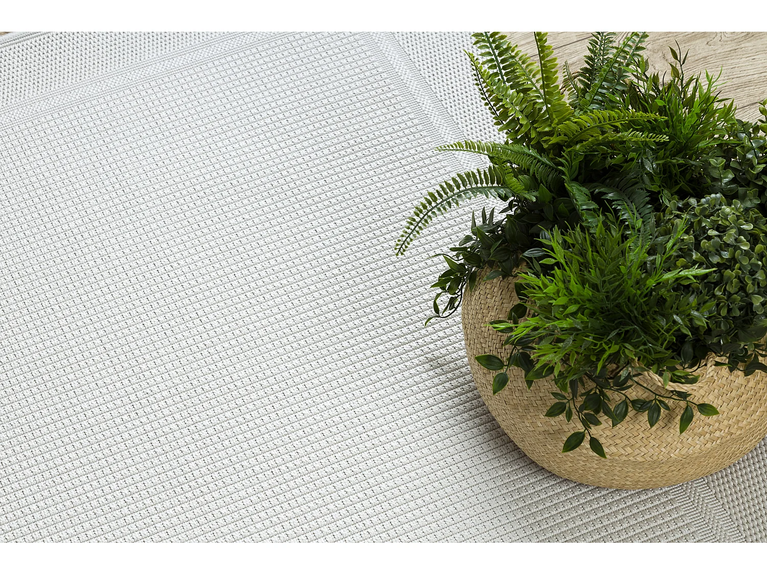 Tapis TIMO 5979 SIZAL extérieur cadre blanc  200x290 cm