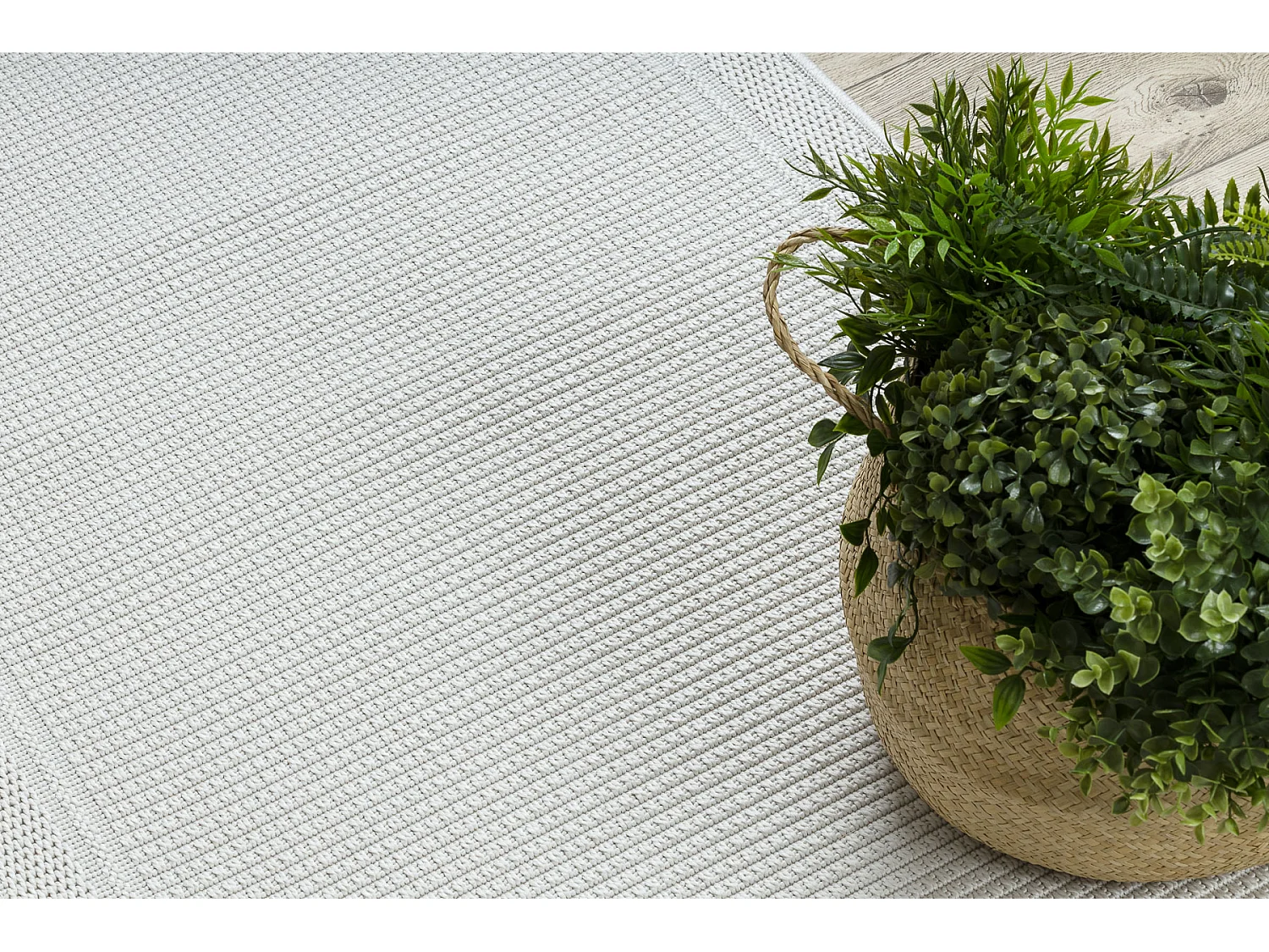 Tapis, tapis de couloir TIMO 5979 SIZAL extérieur cadre blanc  70x300 cm