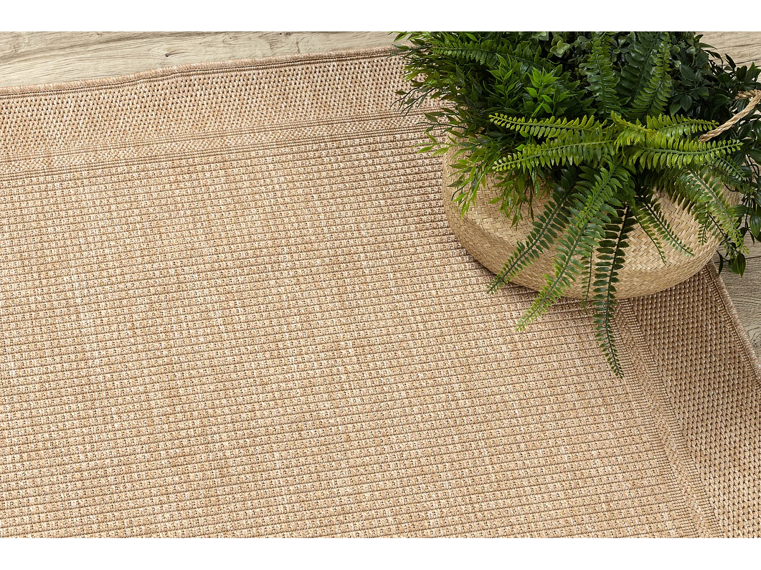 Tapis TIMO 5979 SIZAL extérieur cadre beige foncé 160x220 cm