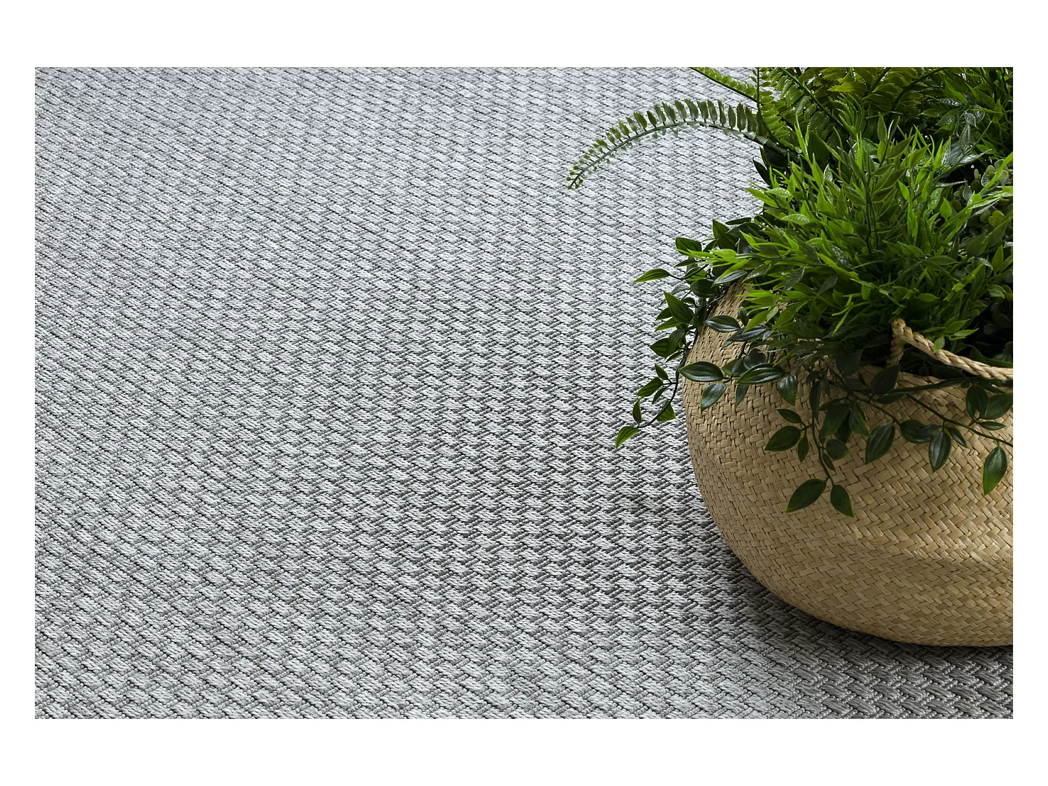Sisal tapijt TIMO 6272 buitenshuis grijskleuring 160x220 cm