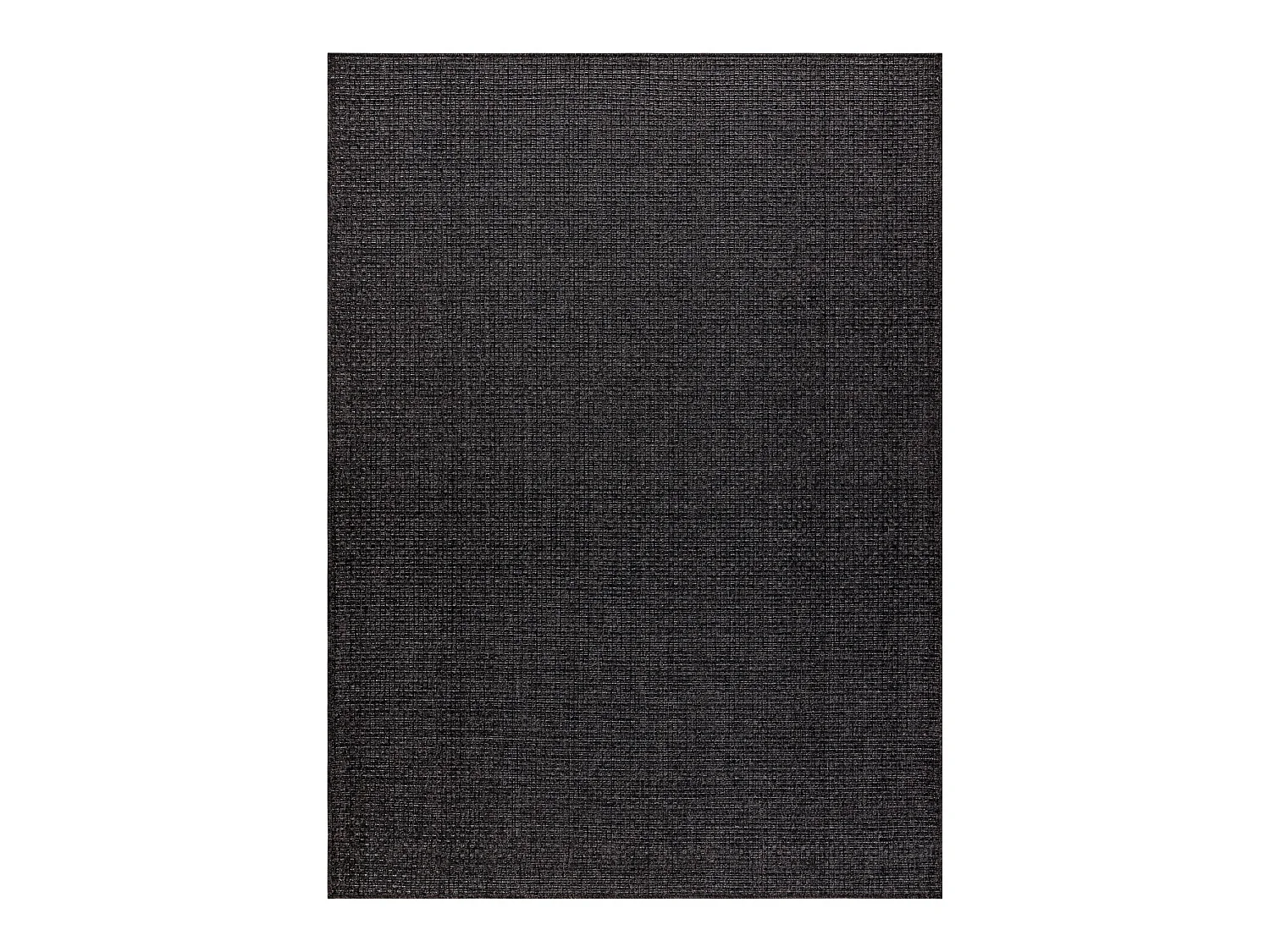 Sisal tapijt TIMO 0000 buitenshuis zwart 200x290 cm