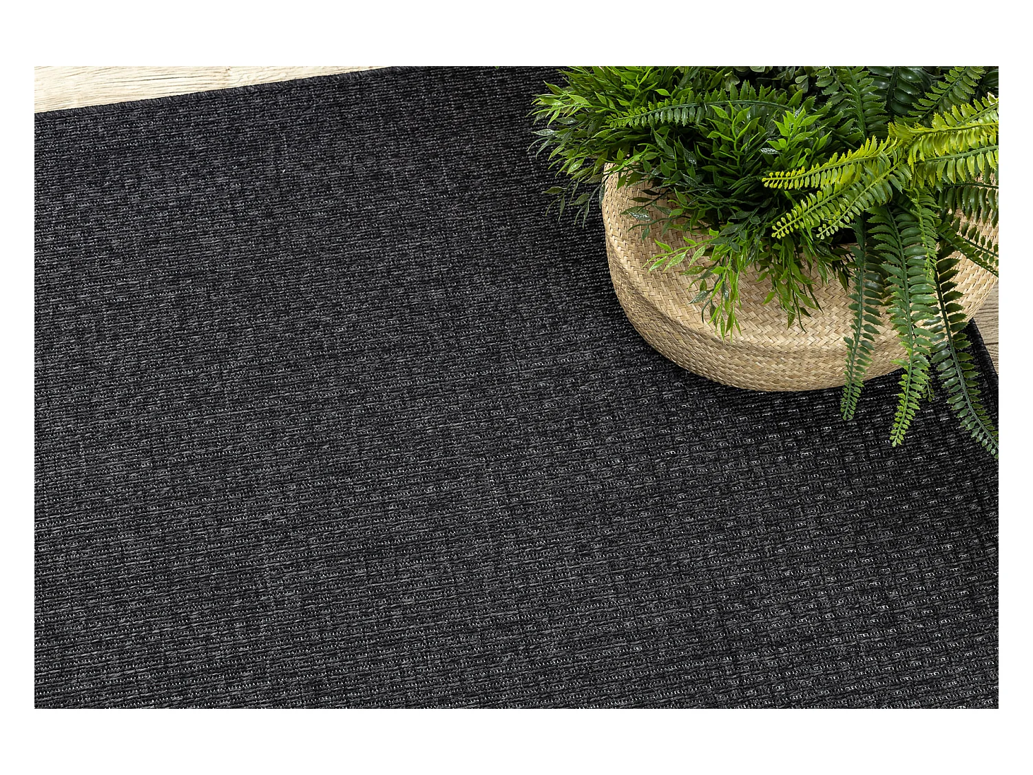 Sisal tapijt TIMO 0000 buitenshuis zwart 200x290 cm