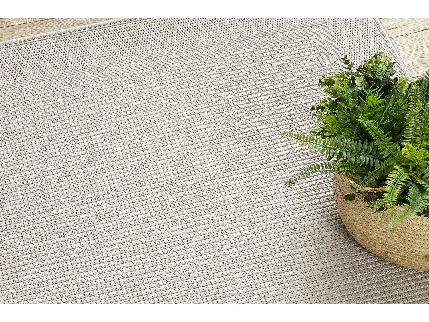 Tapis TIMO 5979 SIZAL extérieur cadre beige 240x330 cm