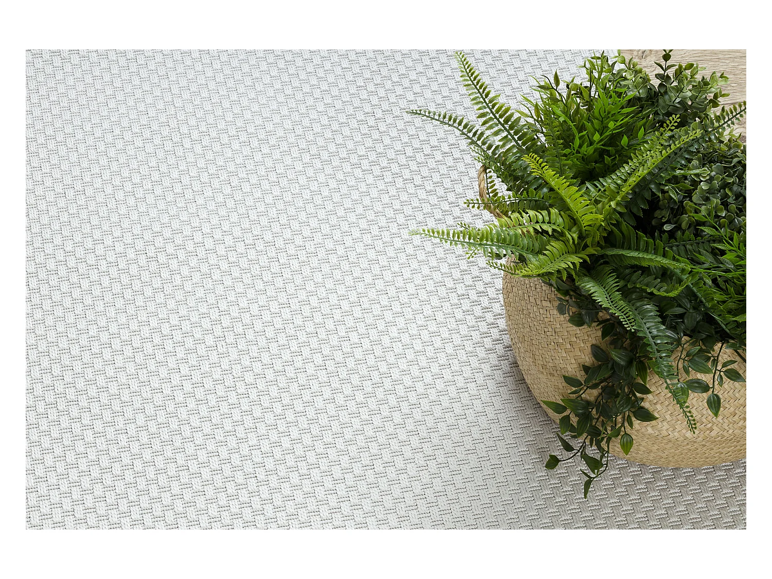 Sisal tapijt TIMO 6272 buitenshuis wit 60x100 cm