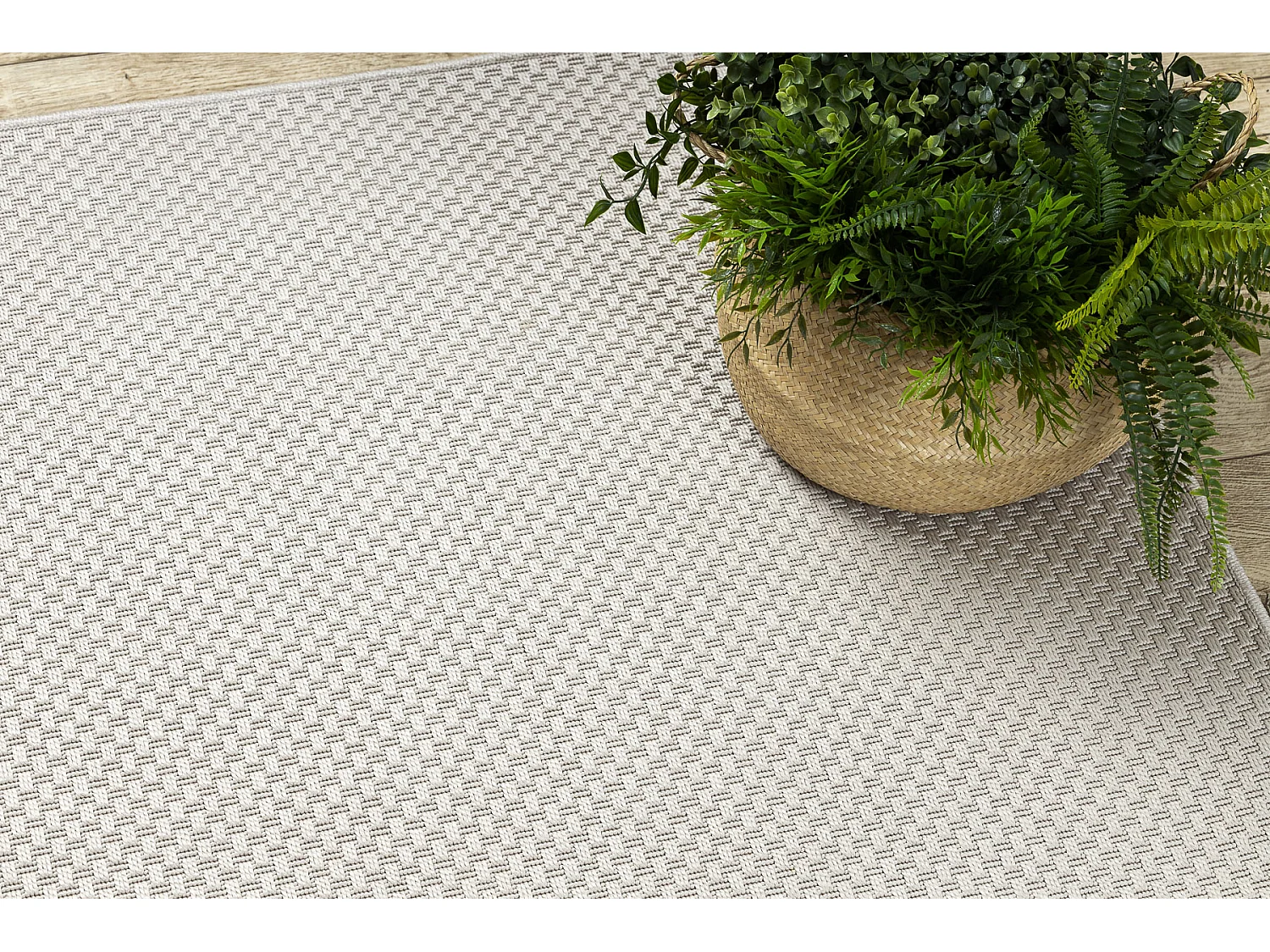 Tapis TIMO 6272 SIZAL extérieur beige 200x290 cm