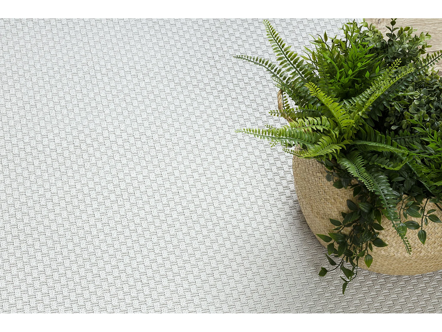 Tapis TIMO 6272 SIZAL extérieur blanc 280x370 cm