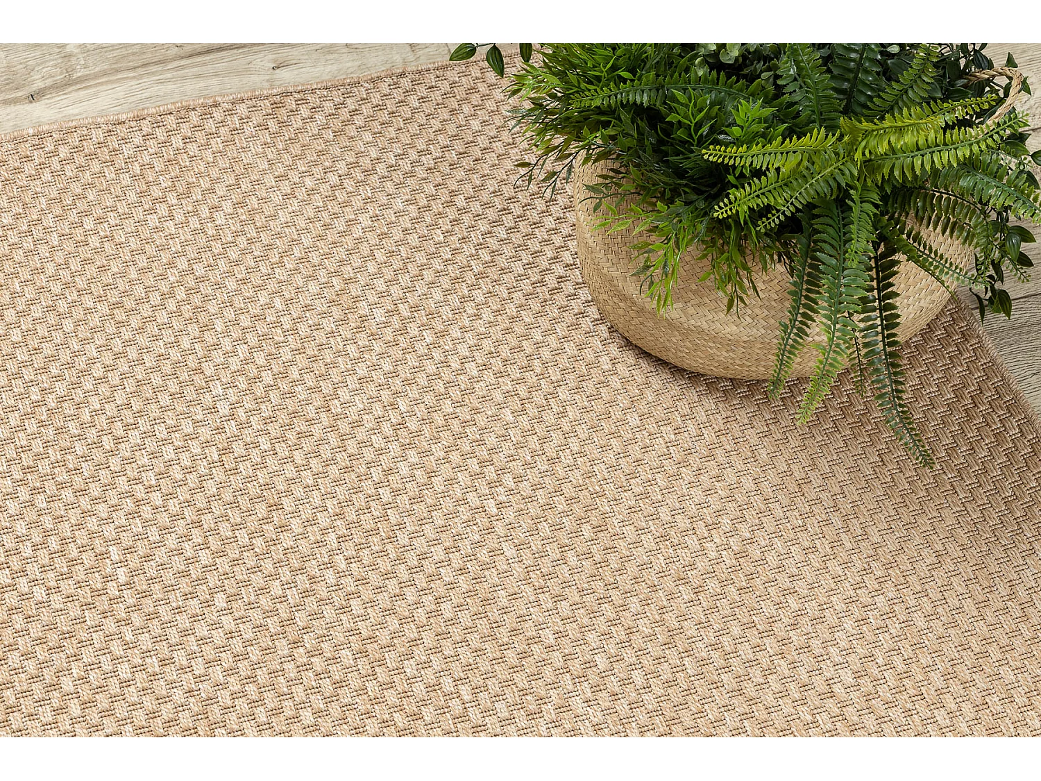 Sisal tapijt TIMO 6272 buitenshuis donker beige 120x170 cm