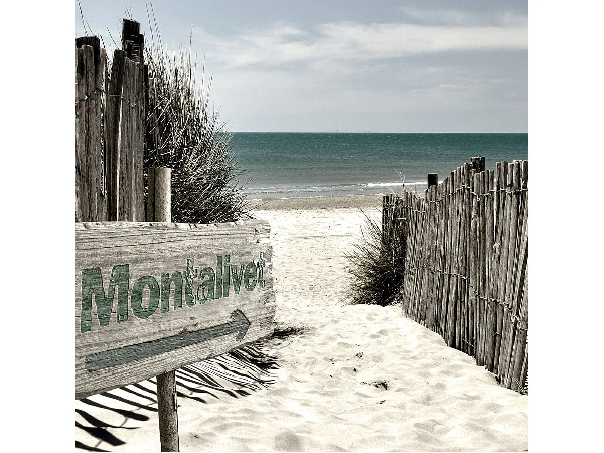 Tableau sur toile Panneau Montalive  30x30 cm