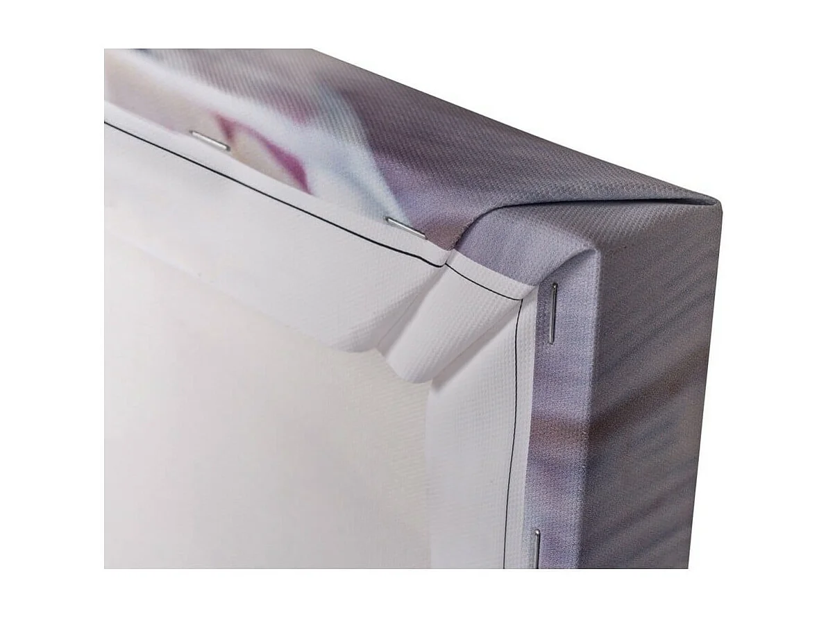 Tableau sur toile roses 65x65 cm