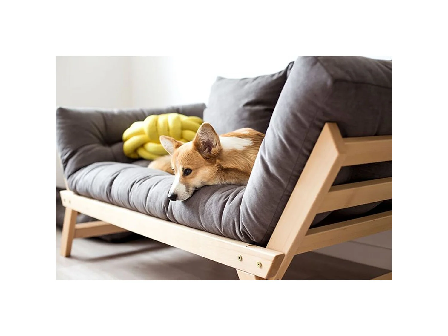 Canapé lit allegro Marron