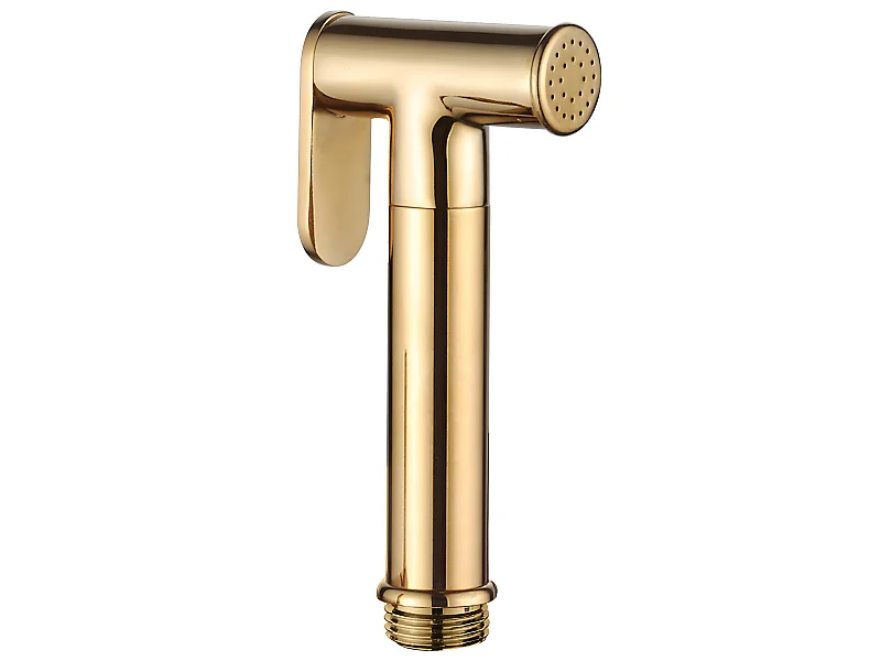 Bidet Douchette Pommeau De Douche Or Monocommande