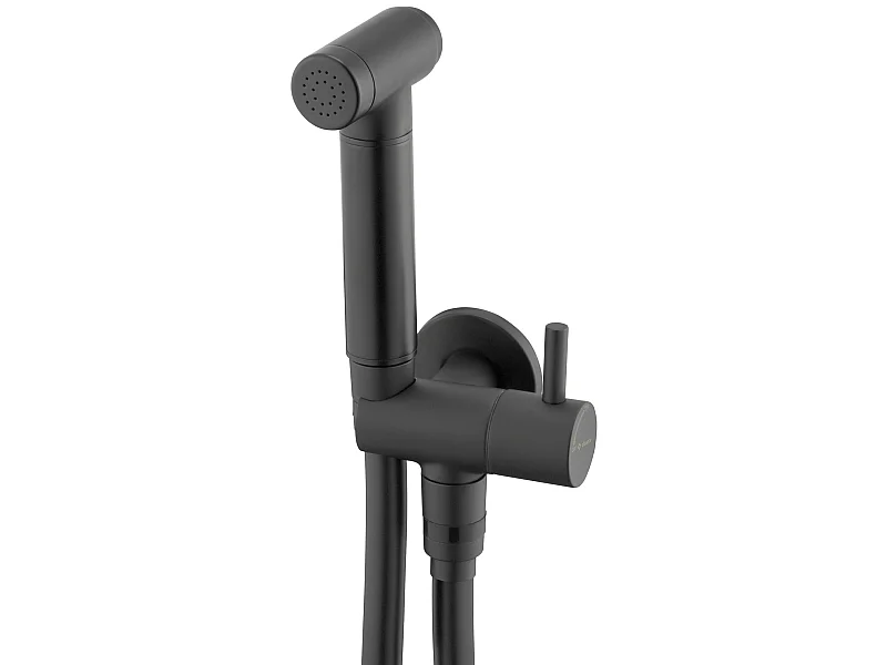 Deante Robinet Bidet Douchette Noir Mural Monocommande