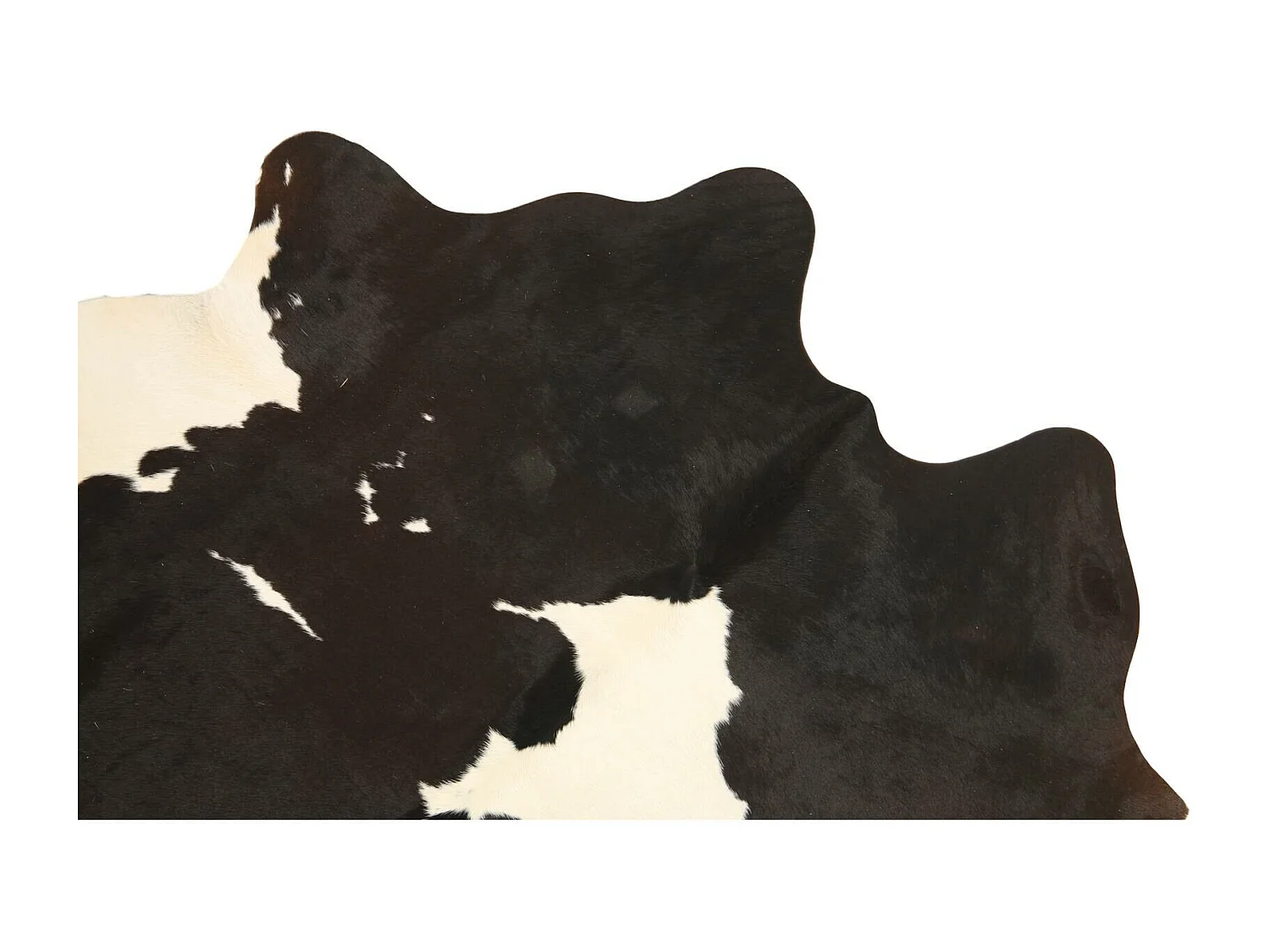 Peau de vache 3-4m2 cow