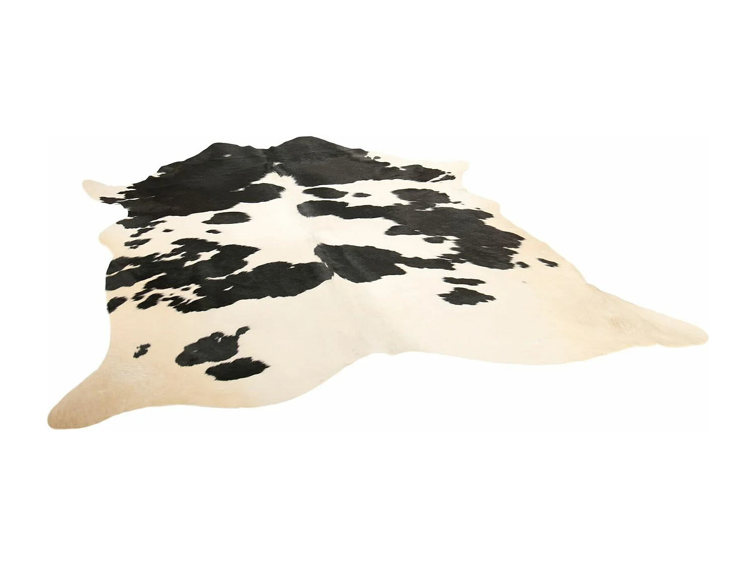 Peau de vache 3-4m2 cow