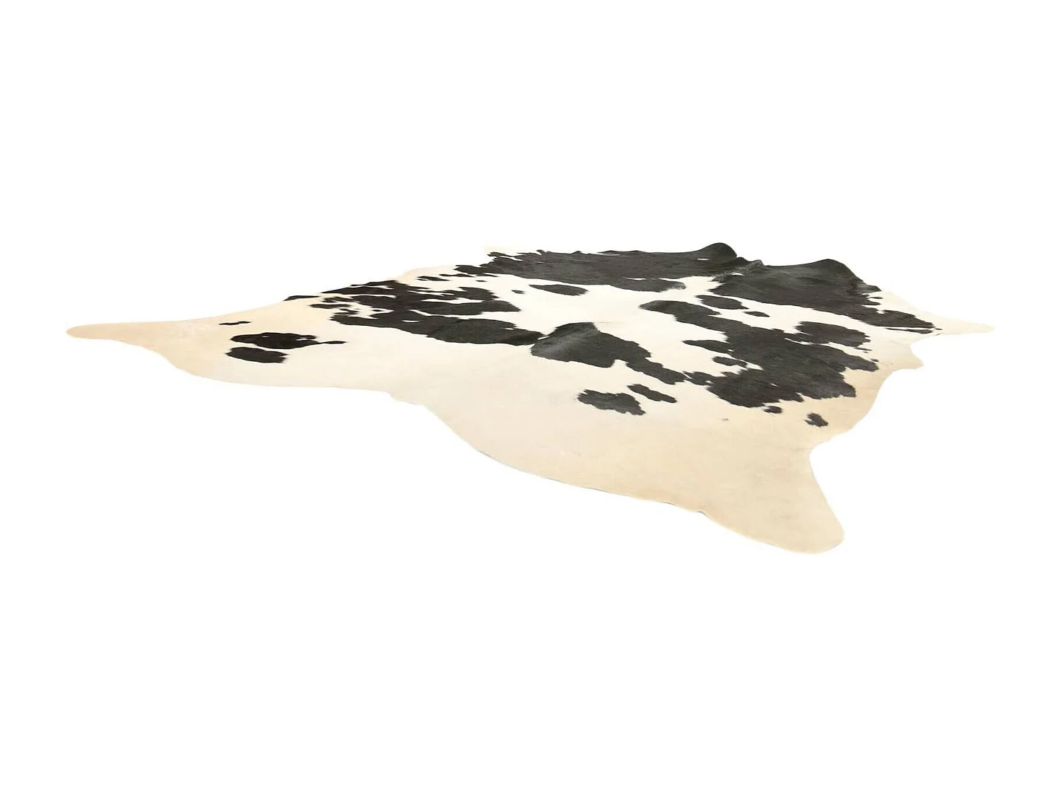 Peau de vache 3-4m2 cow