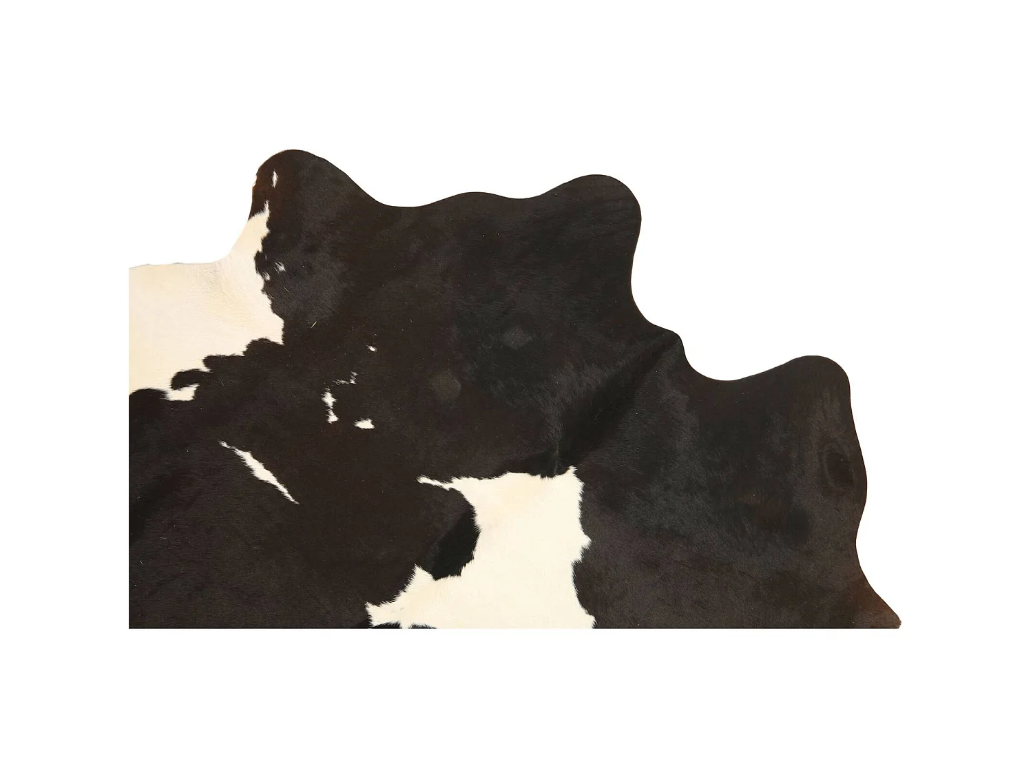 Peau de vache 3-4m2 cow