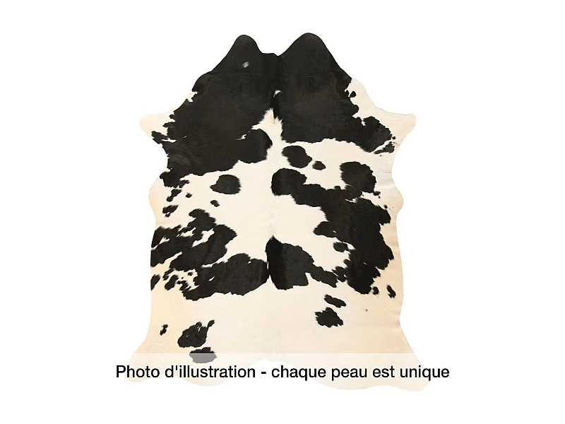 Peau de vache 3-4m2 cow