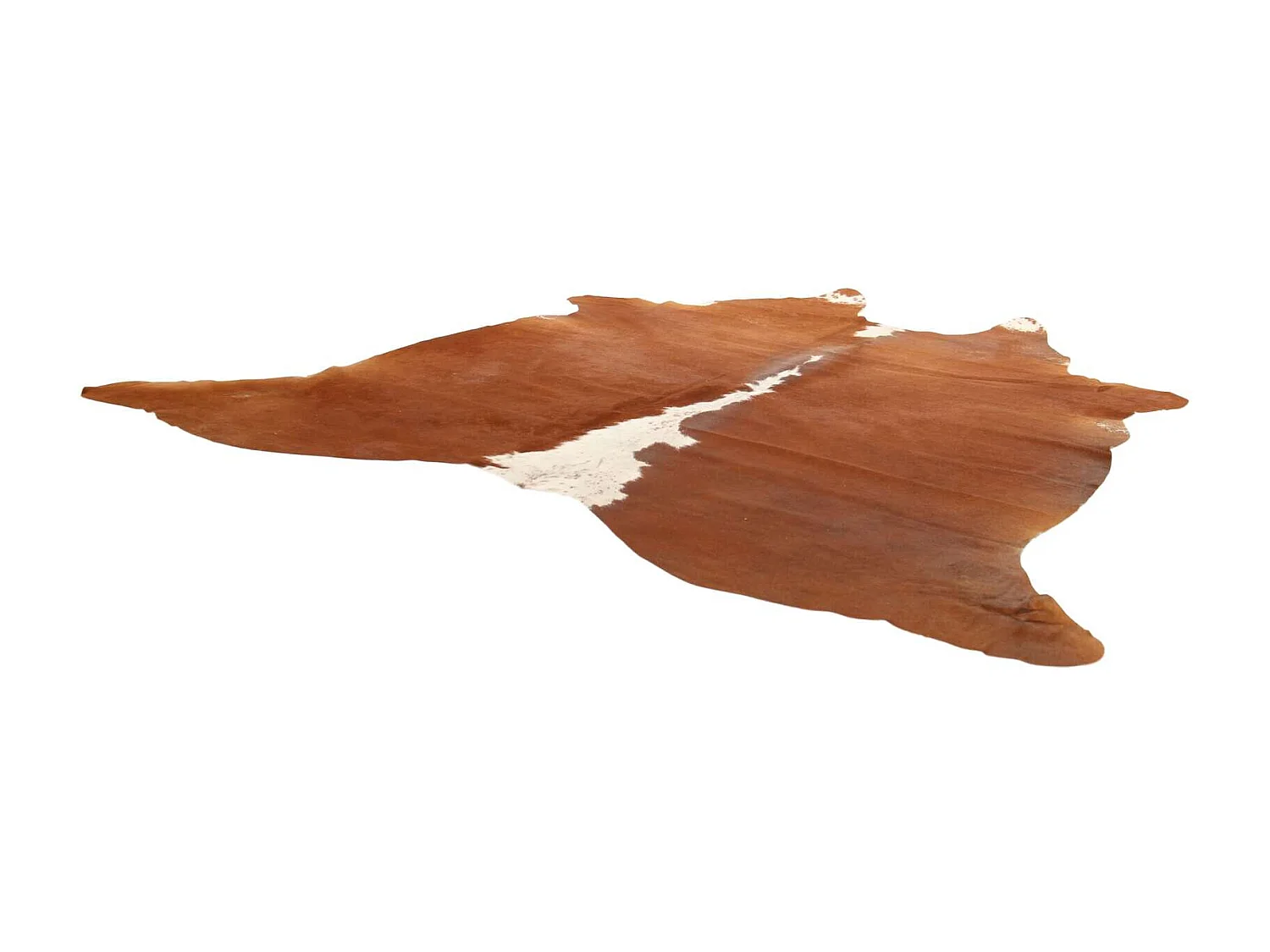 Peau de vache 3-4m2 cow