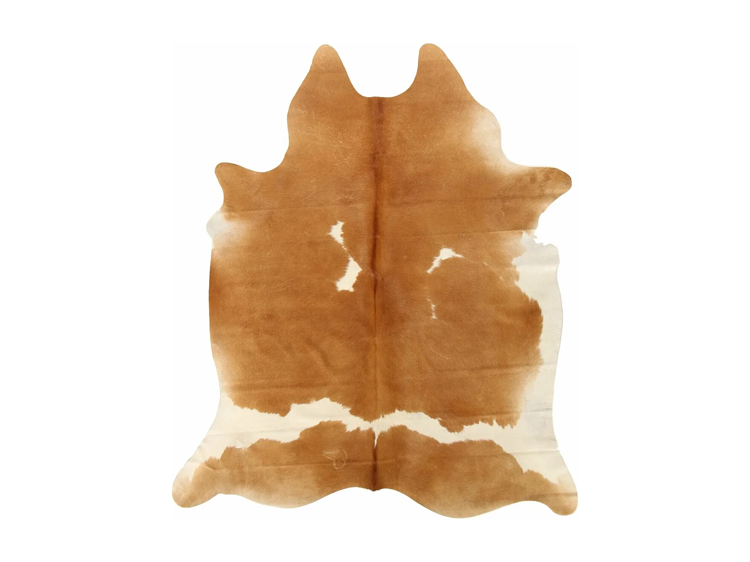 Peau de vache 3-4m2 cow