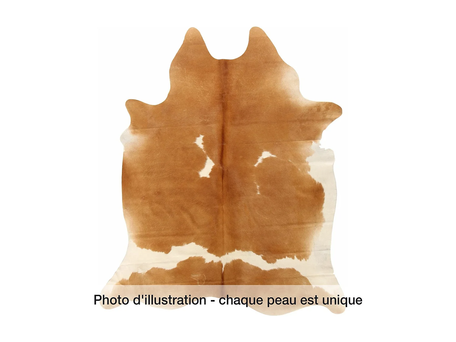 Peau de vache 3-4m2 cow