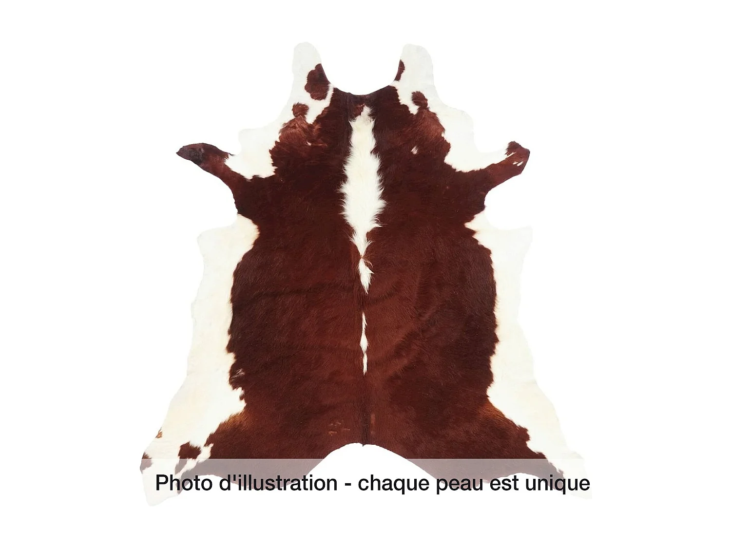Peau de vache 3-4m2 cow