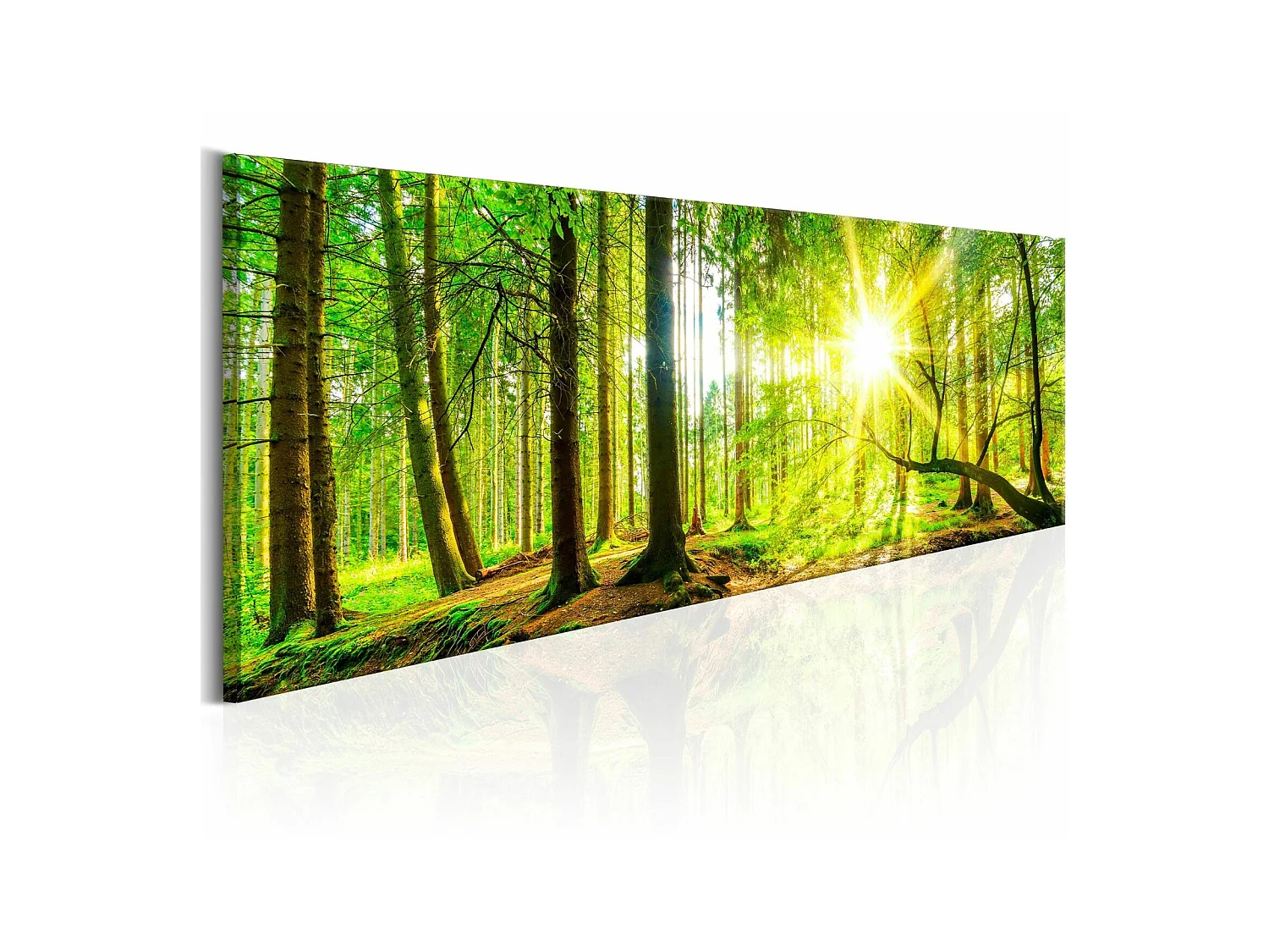 Tableau arbres majestueux - 135 x 45 cm