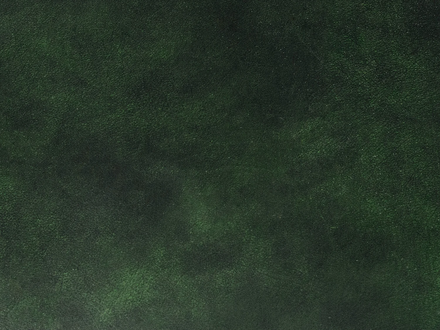 Canapé chesterfield 4 places BRENTON 100% cuir de buffle - Vert empire