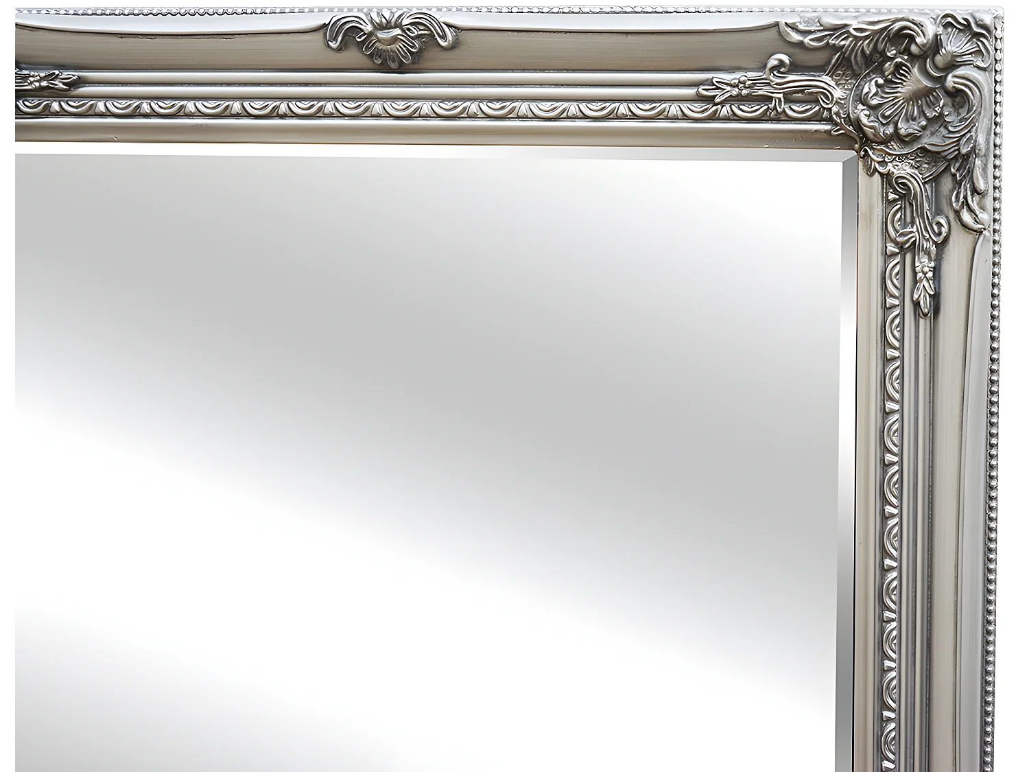 Grote spiegel met lijst ELVIRE - Eucalyptushout - 80 x 190 cm - Kleur: zilver