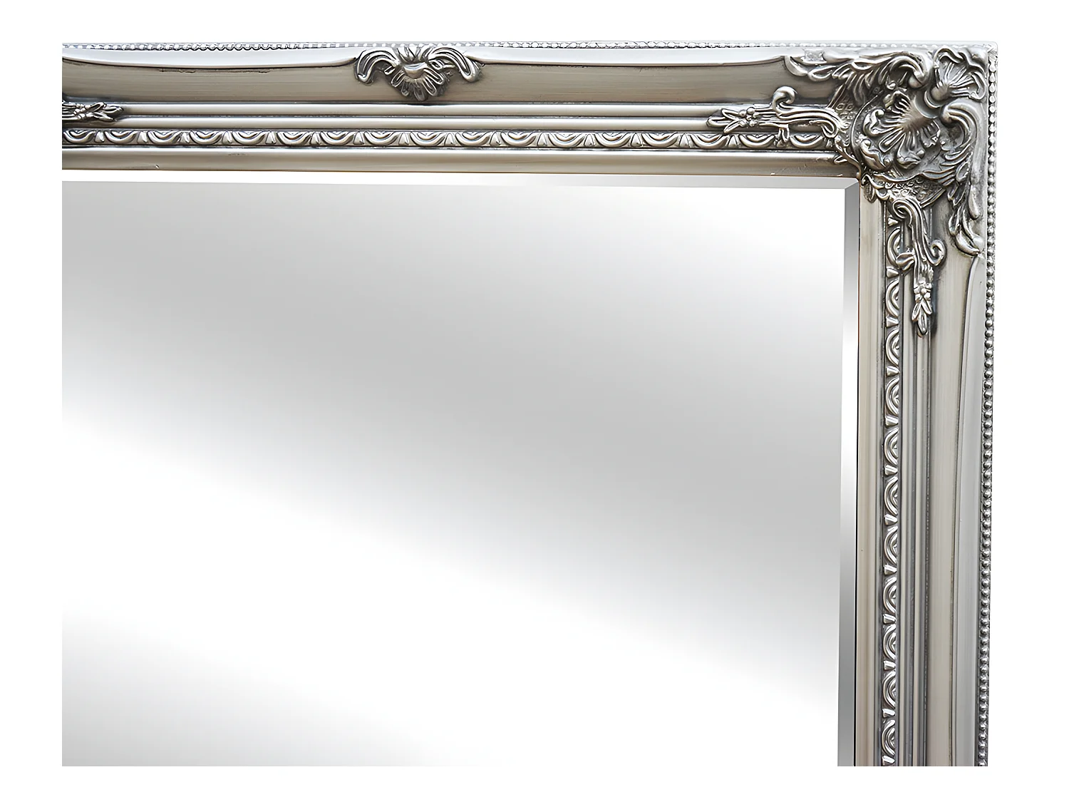 Specchio grande con modanature - 80 x 190 cm - Legno di eucalipto Argentato - ELVIRE