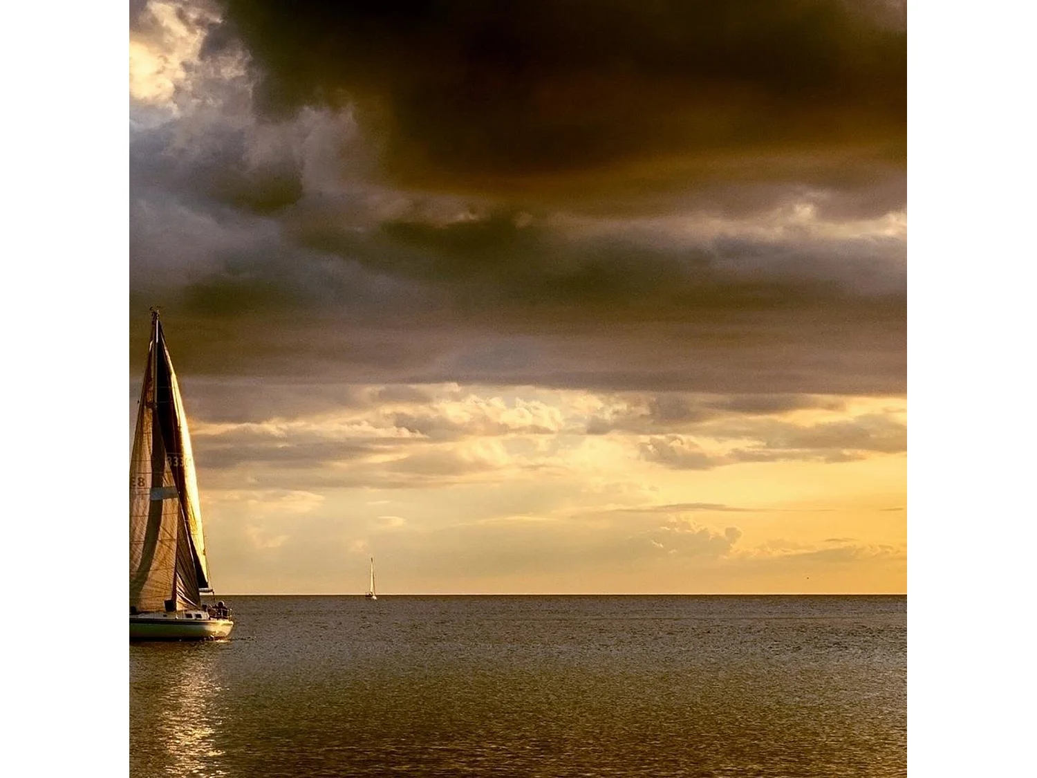 Tableau voiliers en mer - 120 x 80 cm