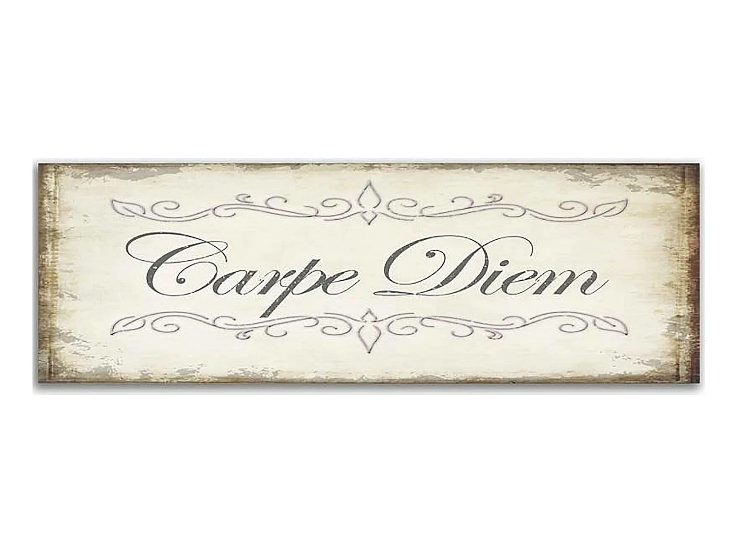 Tableau carpe diem panoramique - 100 x 50 cm