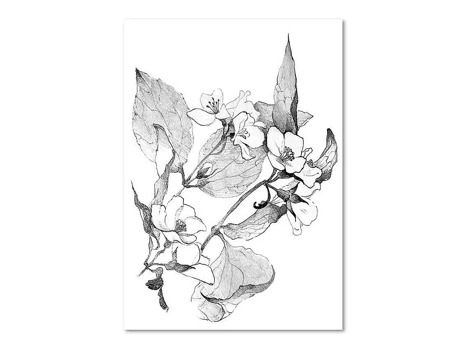 Tableau branches en fleurs - 70 x 100 cm