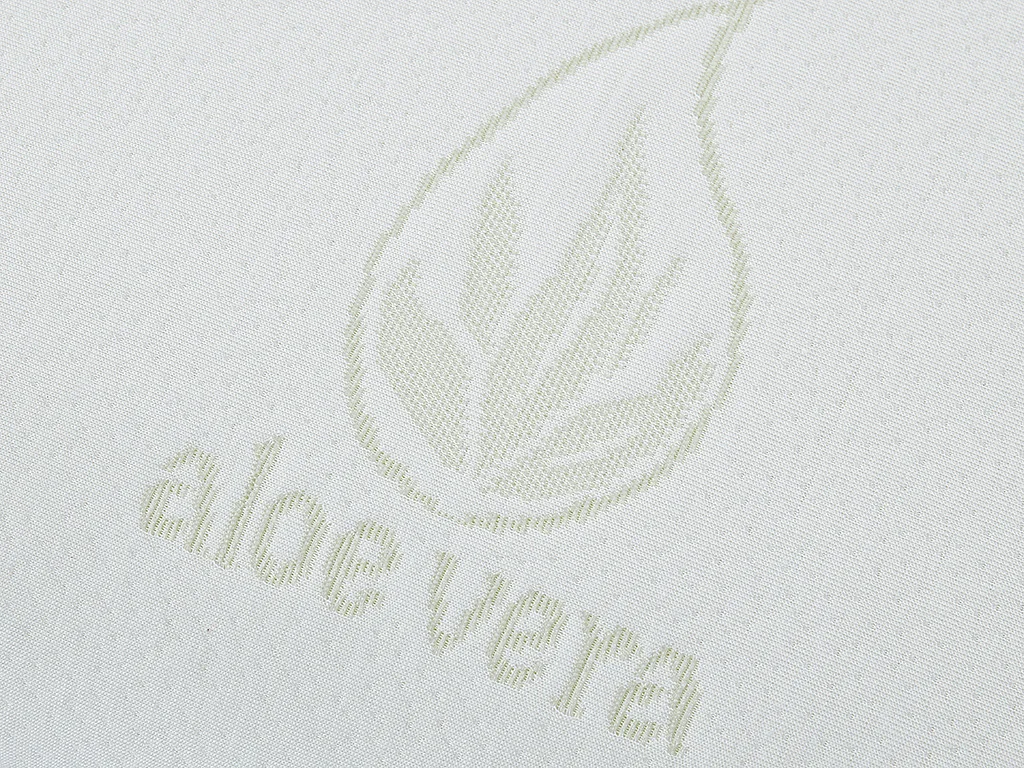 Oreiller mémoire de forme DOUCEUR d' ALOE VERA de NATUREA - 60 x 60 cm
