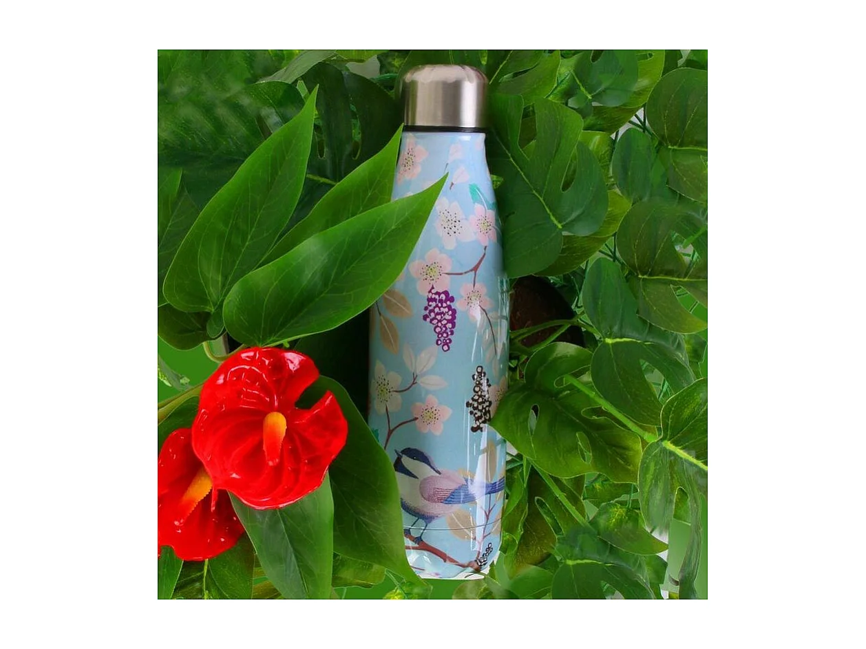 Bouteille de transport en acier inoxydable double paroi 50 cl (Lot de 2) Modèle 1