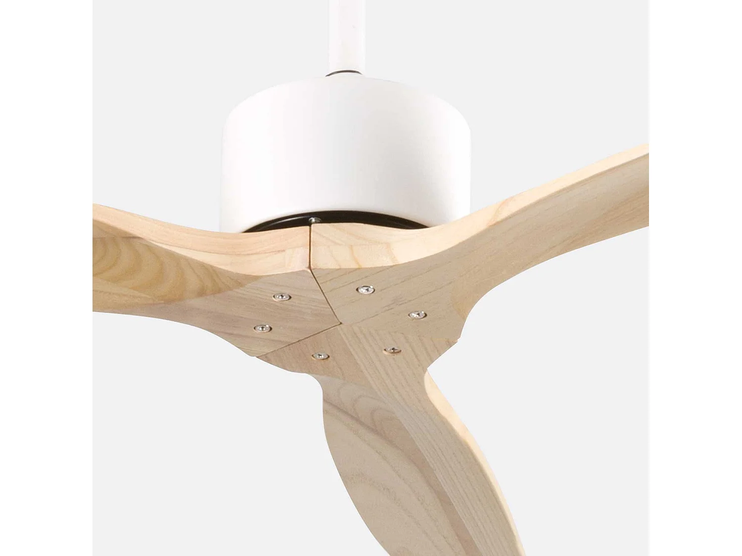 Ventilatore da soffitto Nebraska  a 3 pale, 55 W, 6 velocità Dayron