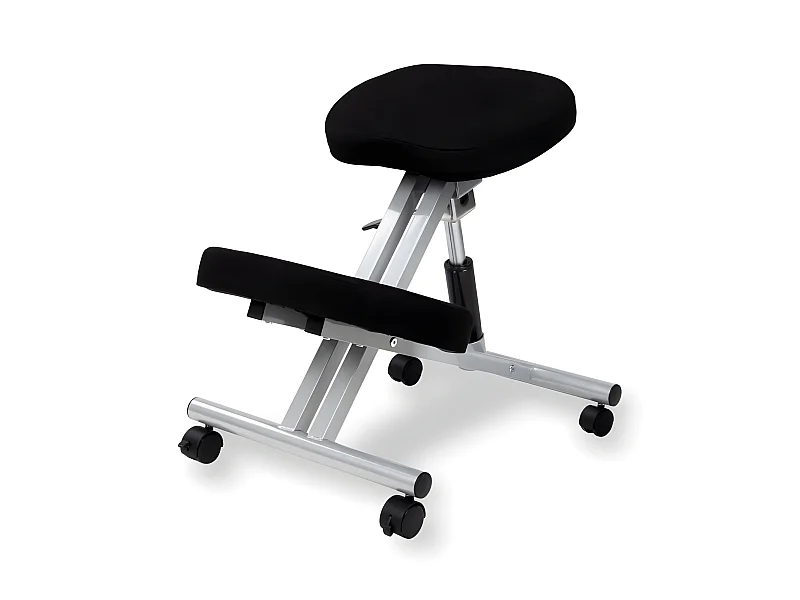 Silla ergonómica Ergochair negro aluminio Negro - Aluminio