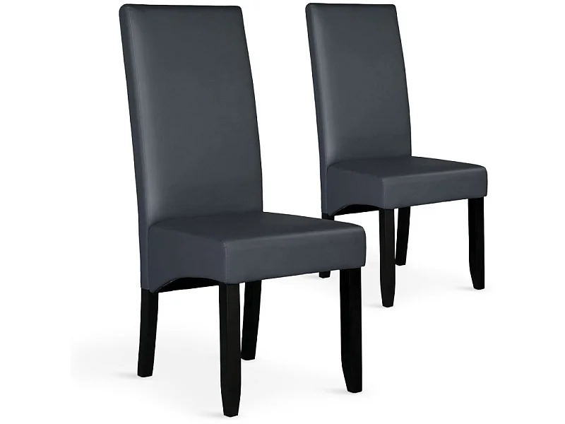Lot de 2 chaises Paris Gris