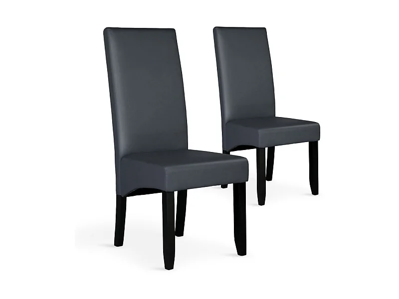 Lot de 2 chaises Paris Gris