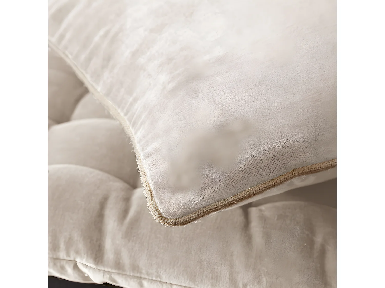 HARRIS - Coussin Déhoussable 45x45cm Velours de Coton Coloris Pampa