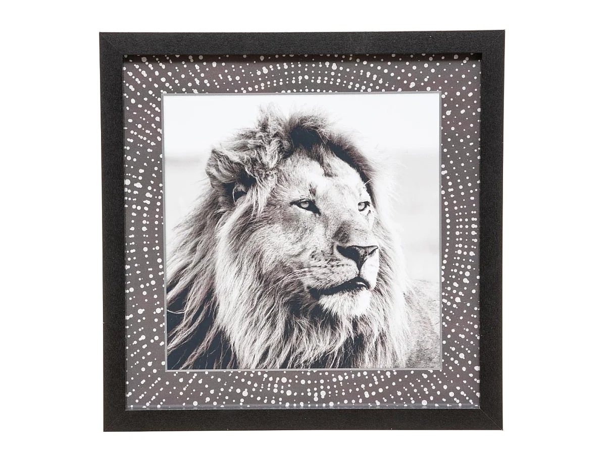 Lot de 5 Cadres Déco "Savane" 25cm Noir