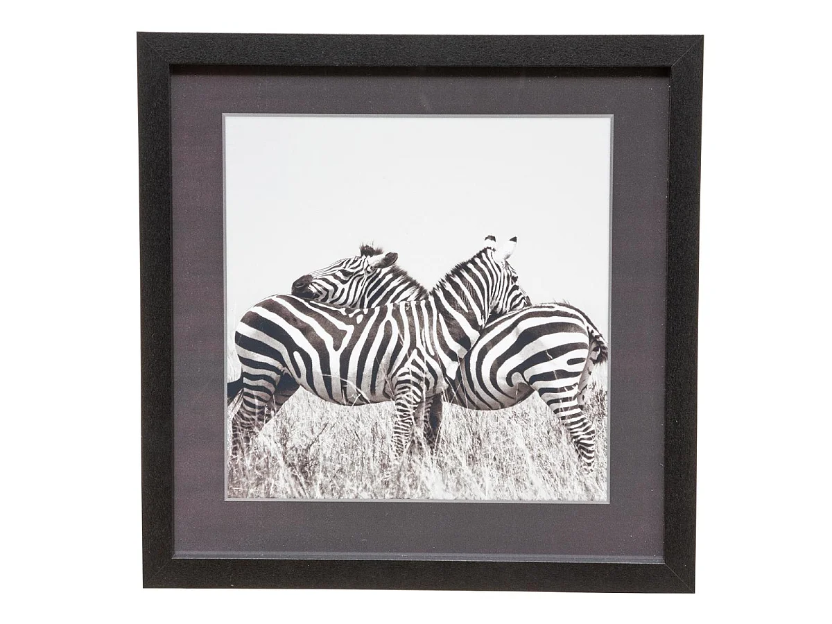 Lot de 5 Cadres Déco "Savane" 25cm Noir